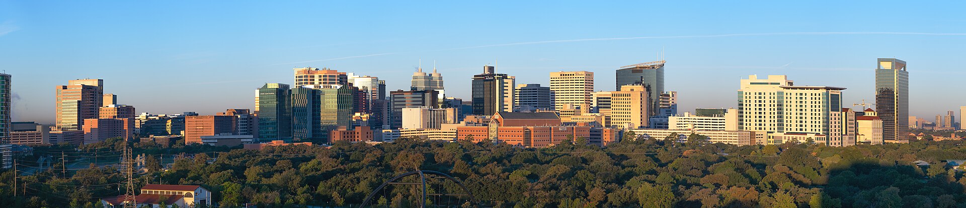 View of the Texas Medical Center from the east. Hermann Park is in the foreground.