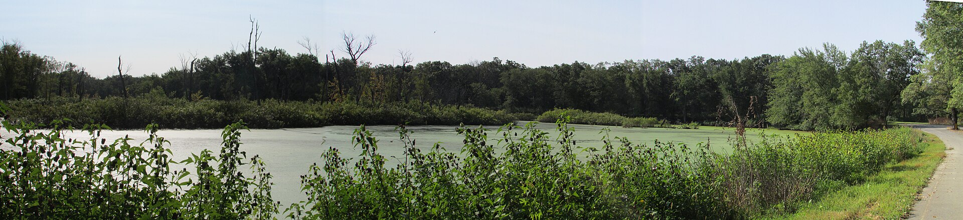 Kankakee River at the White Oak Public Access site in the LaSalle State Fish and Wildlife Area.